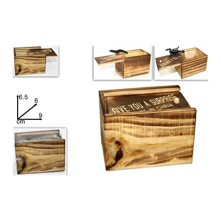 Cassetta legno con insetto