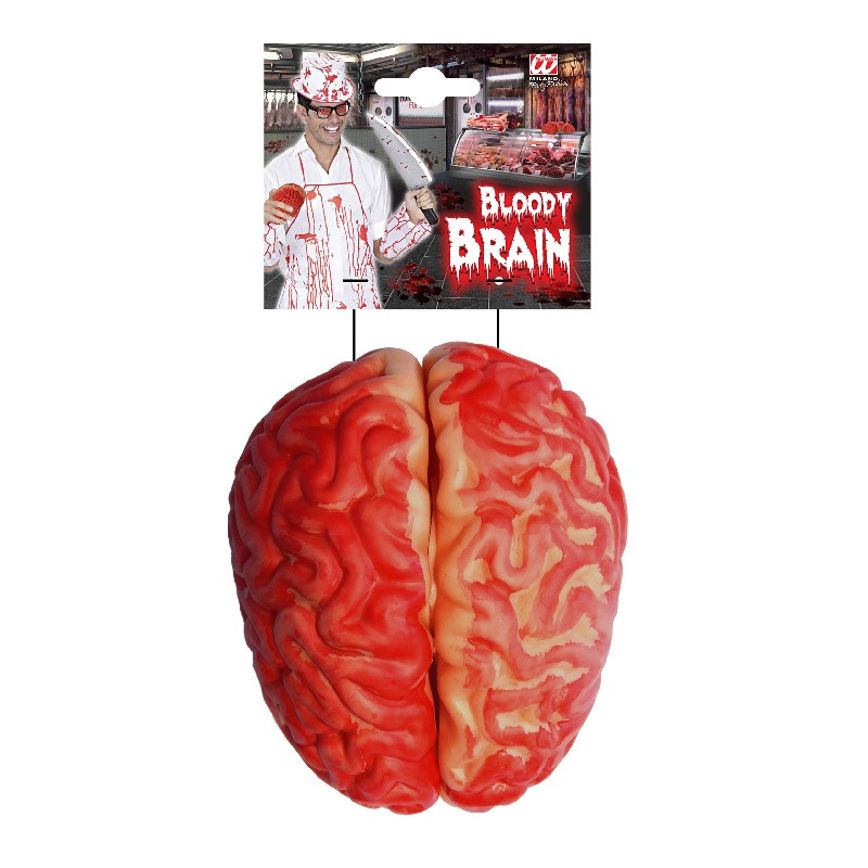 Cervello insanguinato