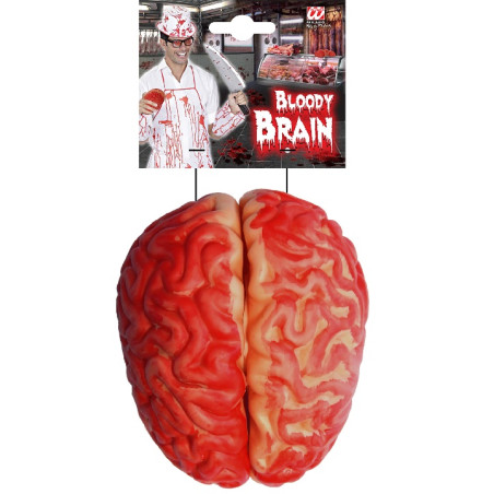 Cervello insanguinato