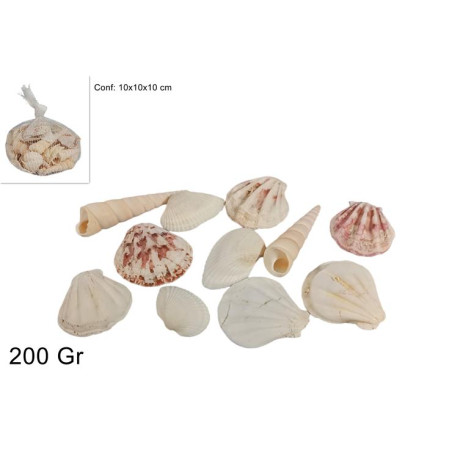 Conchiglie 200 gr in rete
