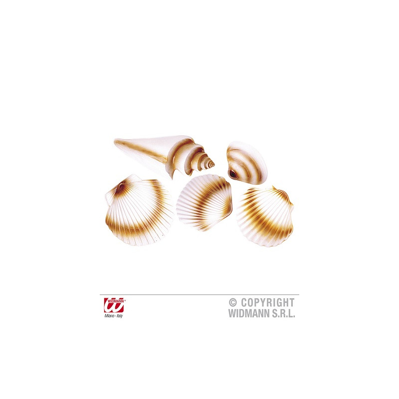 Conchiglie 3D (cf. 5 pz)