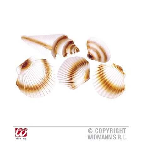 Conchiglie 3D (cf. 5 pz)