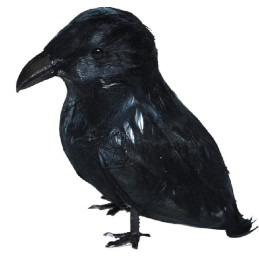 Corvo 9 cm