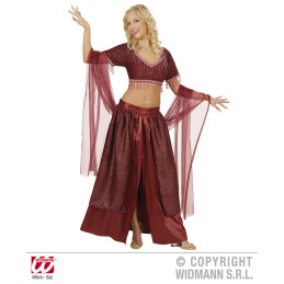 Costume ODALISCA - Tg M 44/46