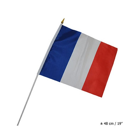 Bandiera 30x45 FRANCIA con asta