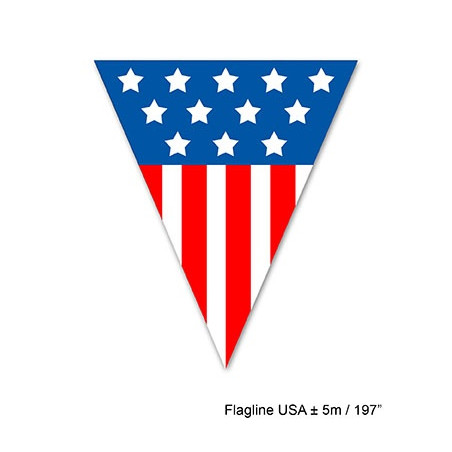 Festone 10 Bandiere AMERICA 5 mt