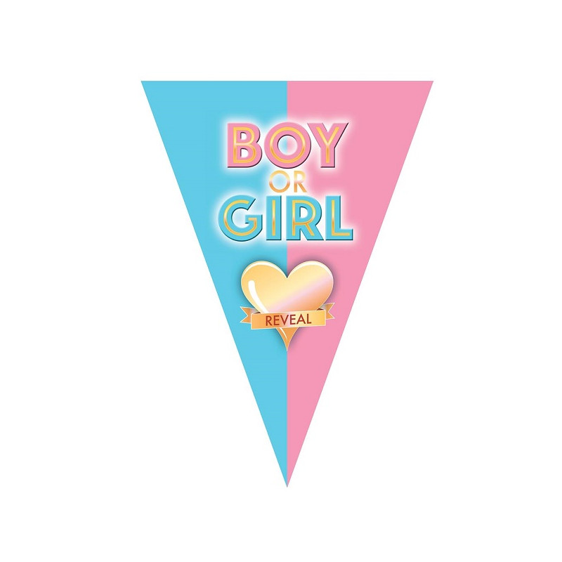 Festone 10 Bandiere Boy or Girl 5 mt