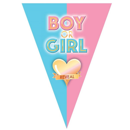 Festone 10 Bandiere Boy or Girl 5 mt