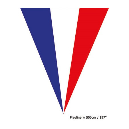 Festone 10 Bandiere FRANCIA 5 mt