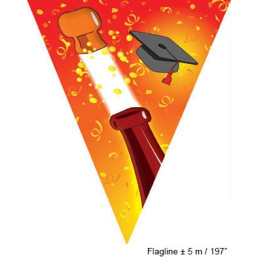 Festone 10 Bandiere LAUREA 5 mt