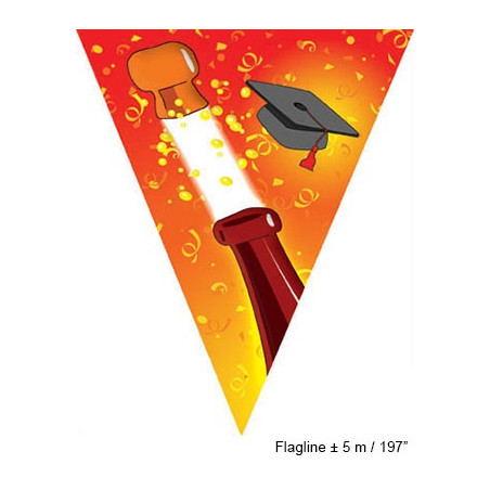 Festone 10 Bandiere LAUREA 5 mt