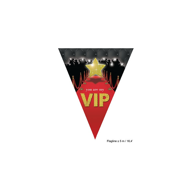 Festone 10 Bandiere V.I.P. 5 mt