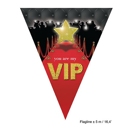 Festone 10 Bandiere V.I.P. 5 mt