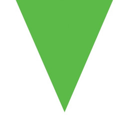 Festone 10 Bandiere VERDE 5 mt