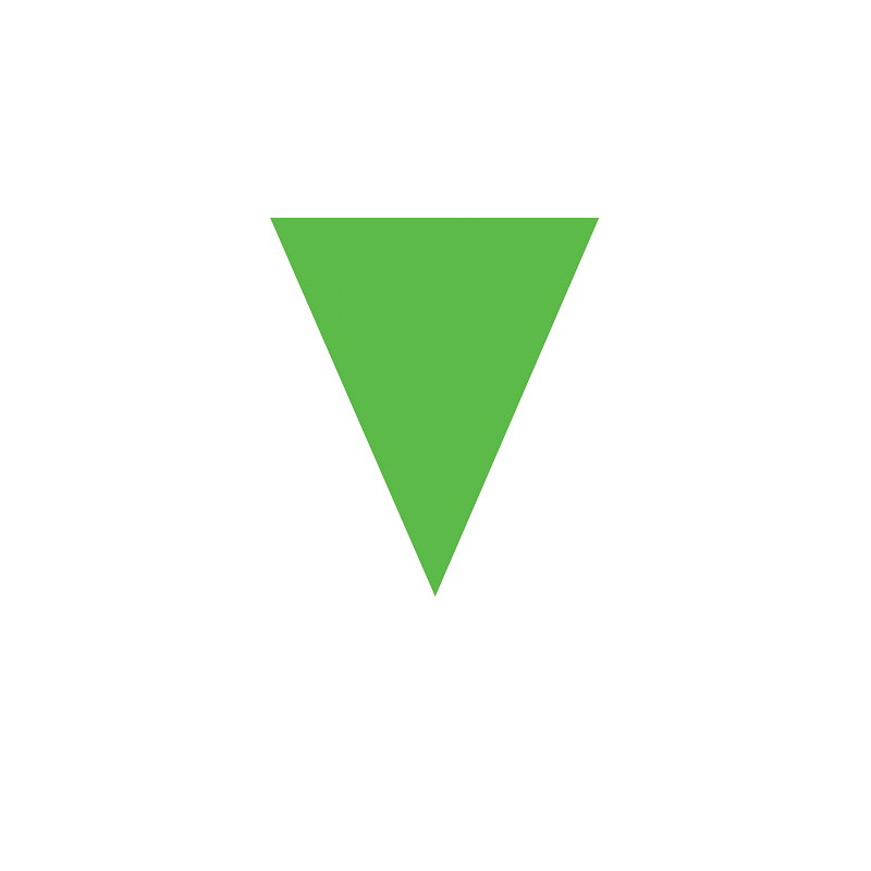Festone 10 Bandiere VERDE 5 mt