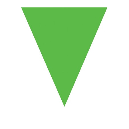 Festone 10 Bandiere VERDE 5 mt