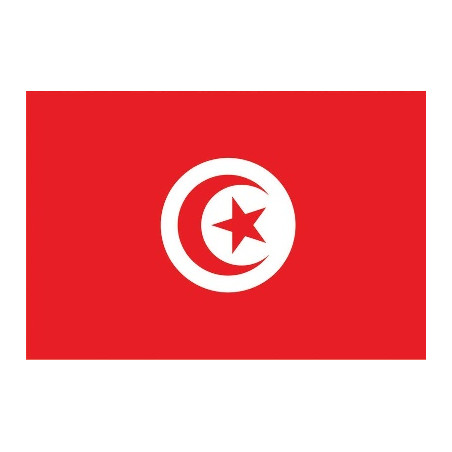 Bandiera 90x150 TUNISIA
