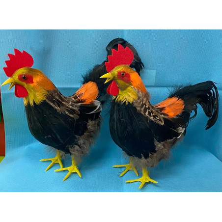 Gallina Grande 24 cm - 2 mod ass