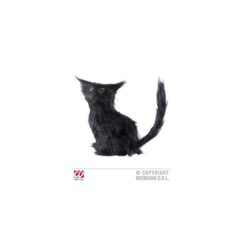 Gatto Nero Peloso