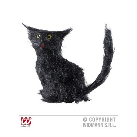 Gatto Nero Peloso