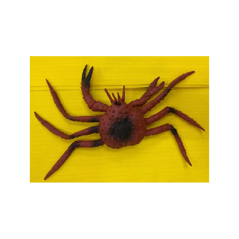 Granchio 23x12 cm