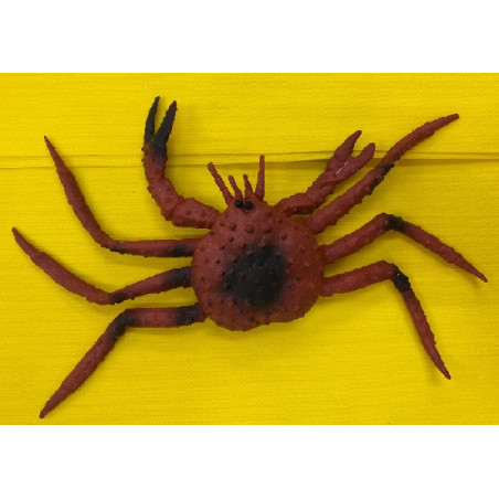 Granchio 23x12 cm