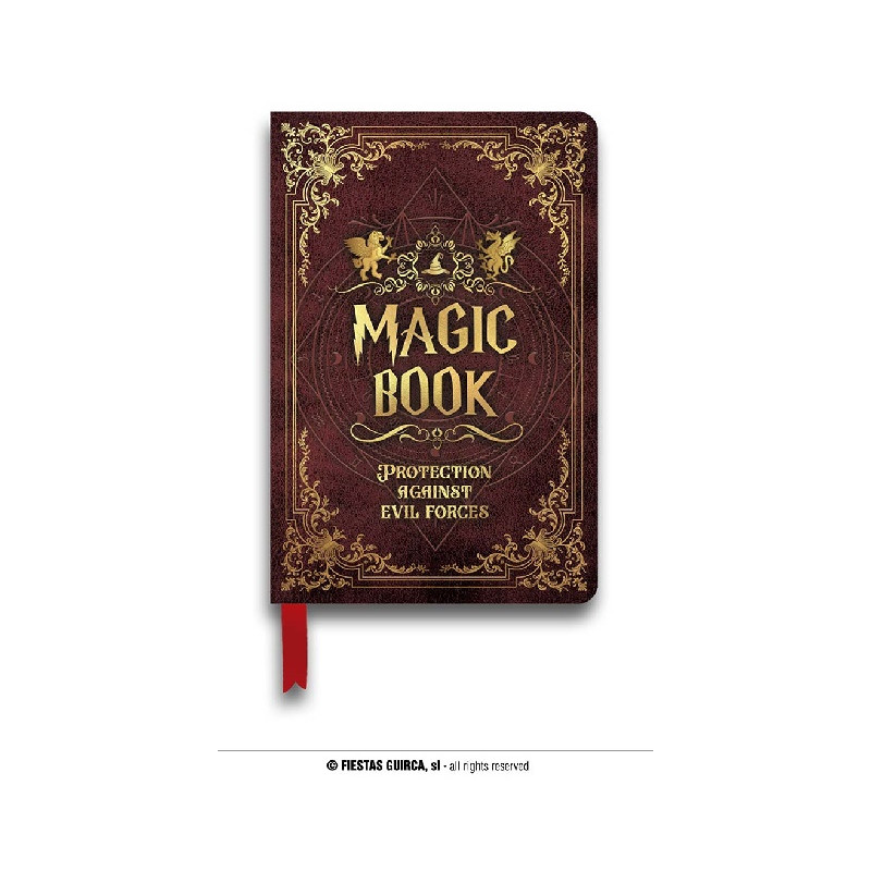 Libro Mago Harry Potter 22x15 cm