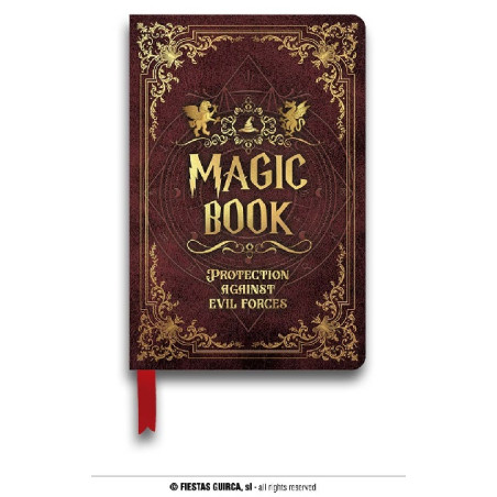 Libro Mago Harry Potter 22x15 cm
