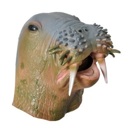 Maschera Foca