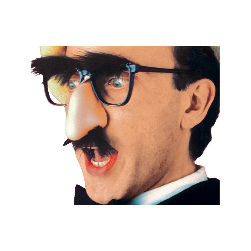 Occhiali con naso, baffi e sopracciglia