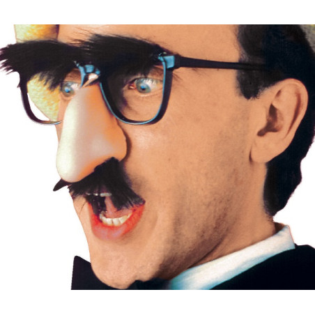 Occhiali con naso, baffi e sopracciglia