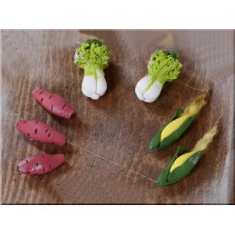 Ortaggi in miniatura in busta mod ass