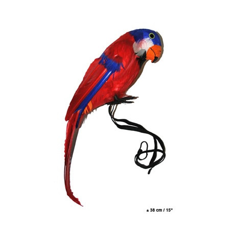 Pappagallo in piume con elastico