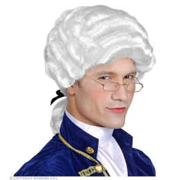 Parrucca Cavaliere Bianca