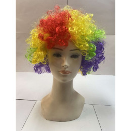 Parrucca Clown Multicolor