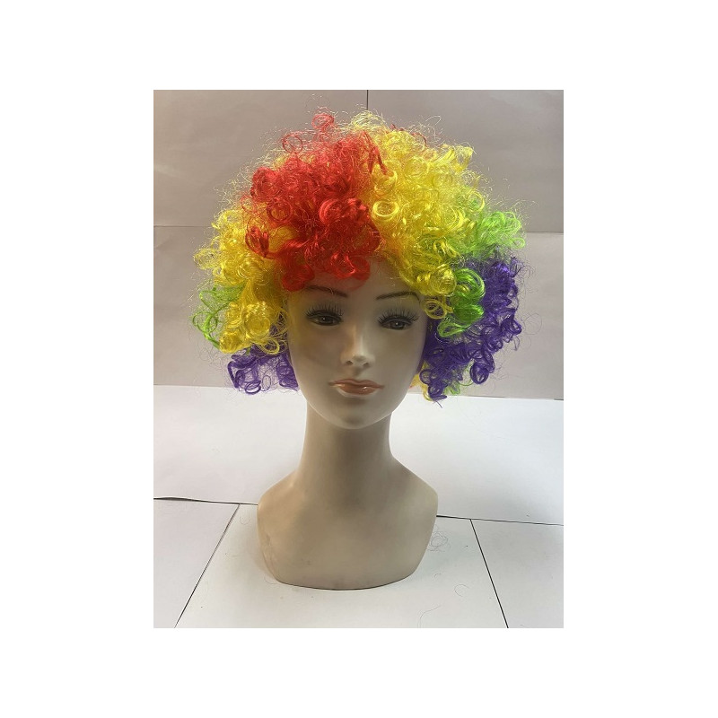 Parrucca Clown Multicolor