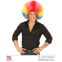 Parrucca Riccia Clown Multicolor