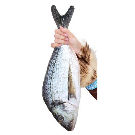 Pesce 55 cm