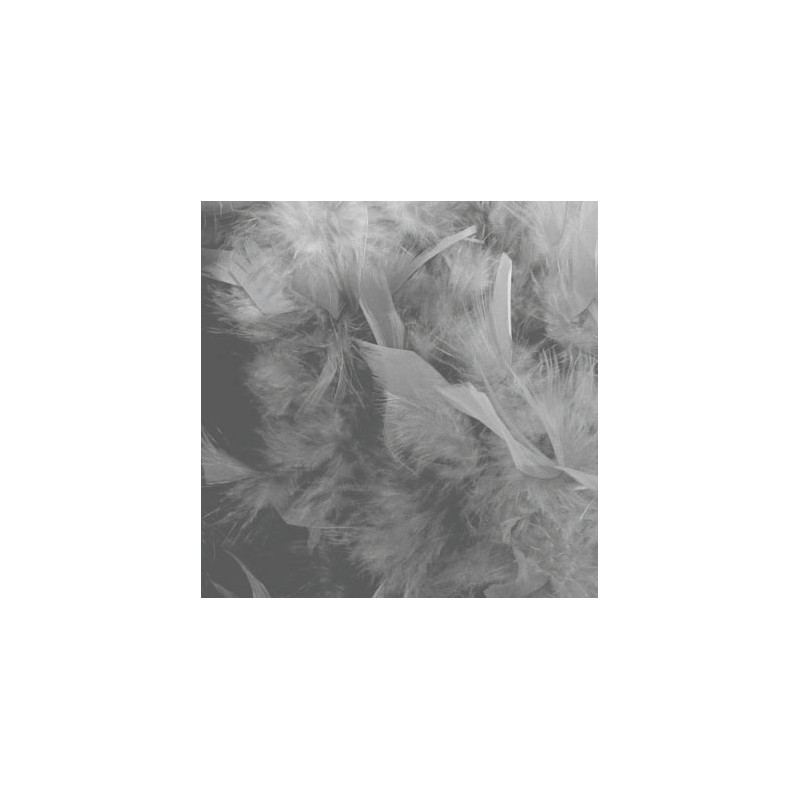 Boa Grigio 2 mt - 45 gr