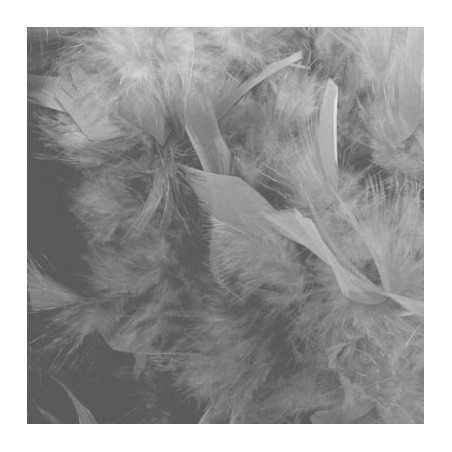 Boa Grigio 2 mt - 45 gr