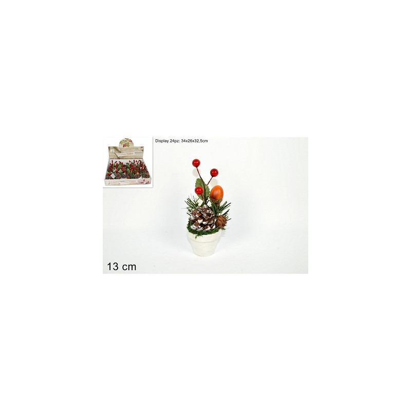 Piantina con bacche e pigne 13 cm