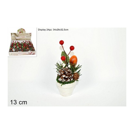 Piantina con bacche e pigne 13 cm