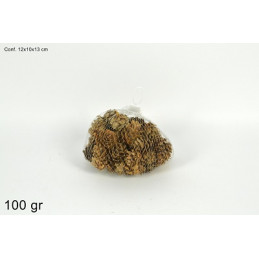 Pigne Naturali 100 gr in sacchetto
