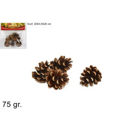 Pigne Naturali 75 gr in busta