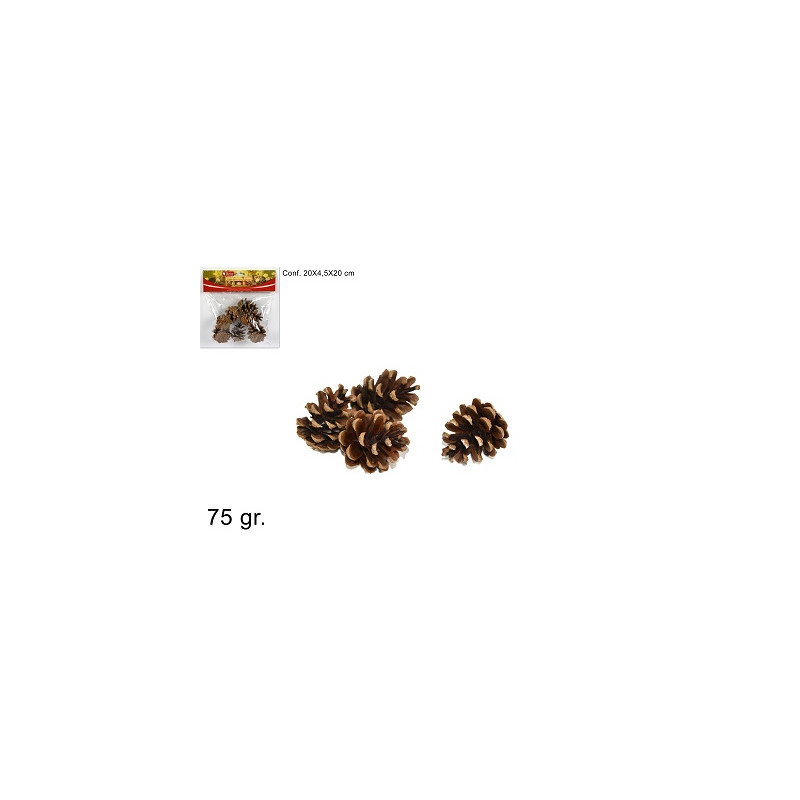 Pigne Naturali 75 gr in busta