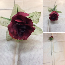 Rosa Rossa a stelo lungo