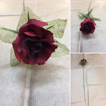 Rosa Rossa a stelo lungo