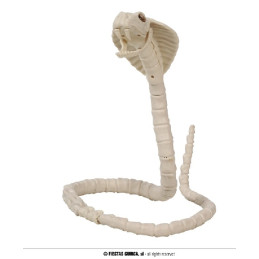 Scheletro Cobra 100 cm