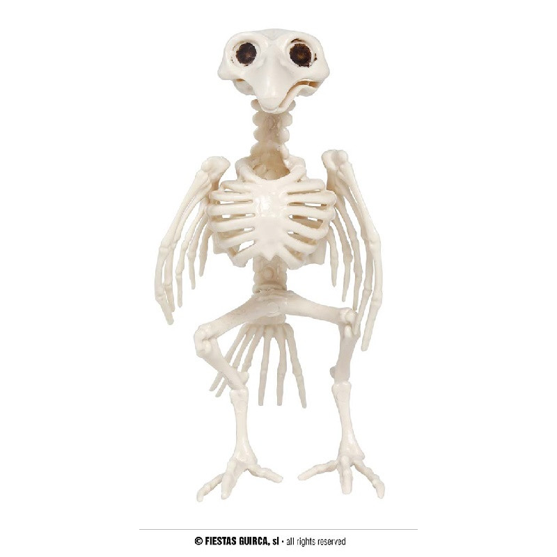 Scheletro Corvo 20 cm