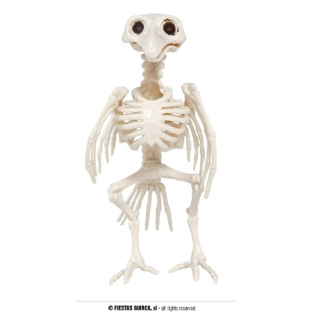 Scheletro Corvo 20 cm